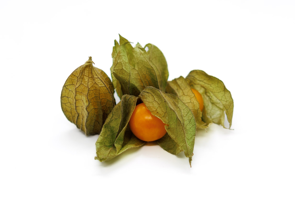 Physalis