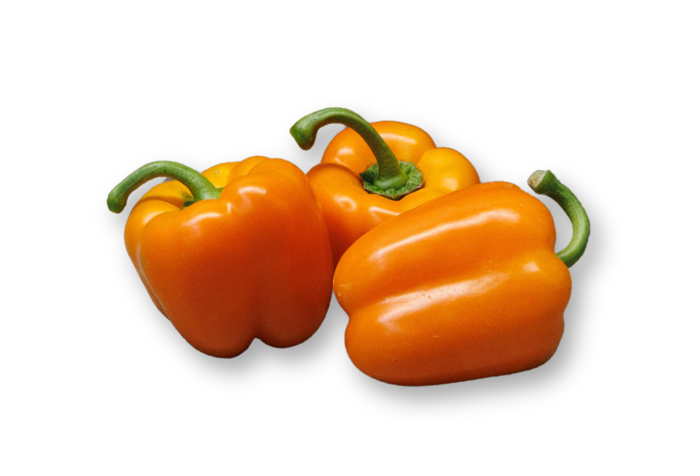 Capsicum orange