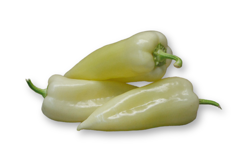 Capsicum white pointed