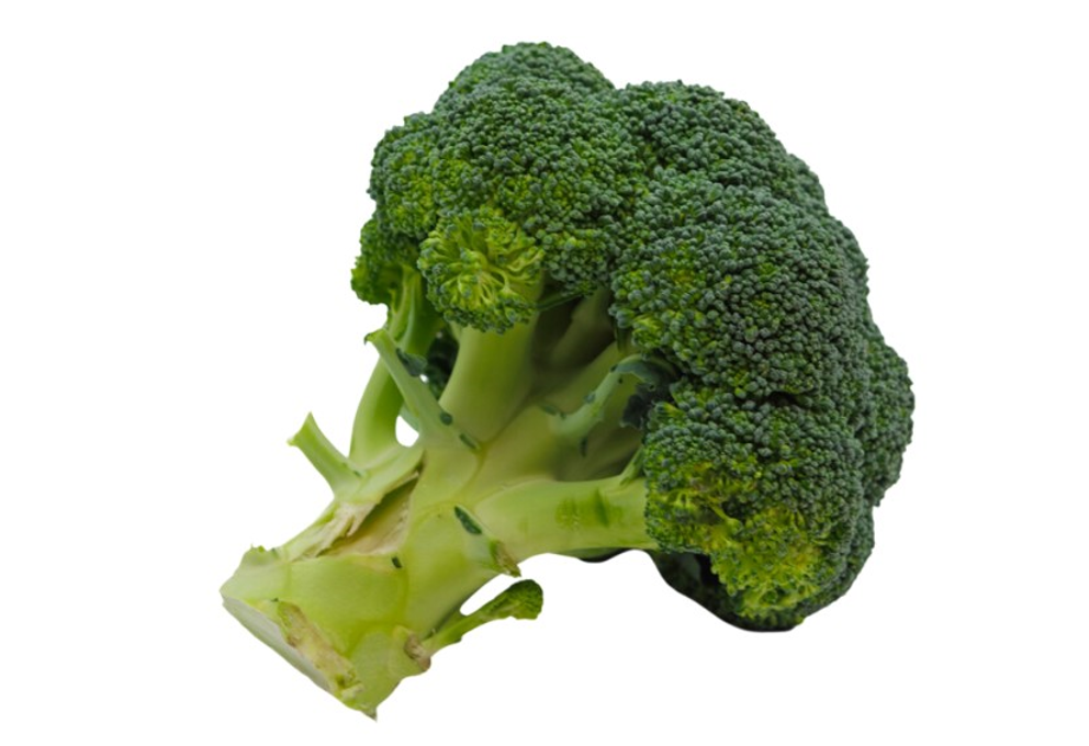 Broccoli