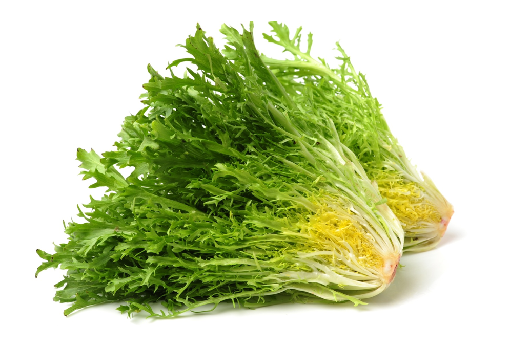 Frisée groen