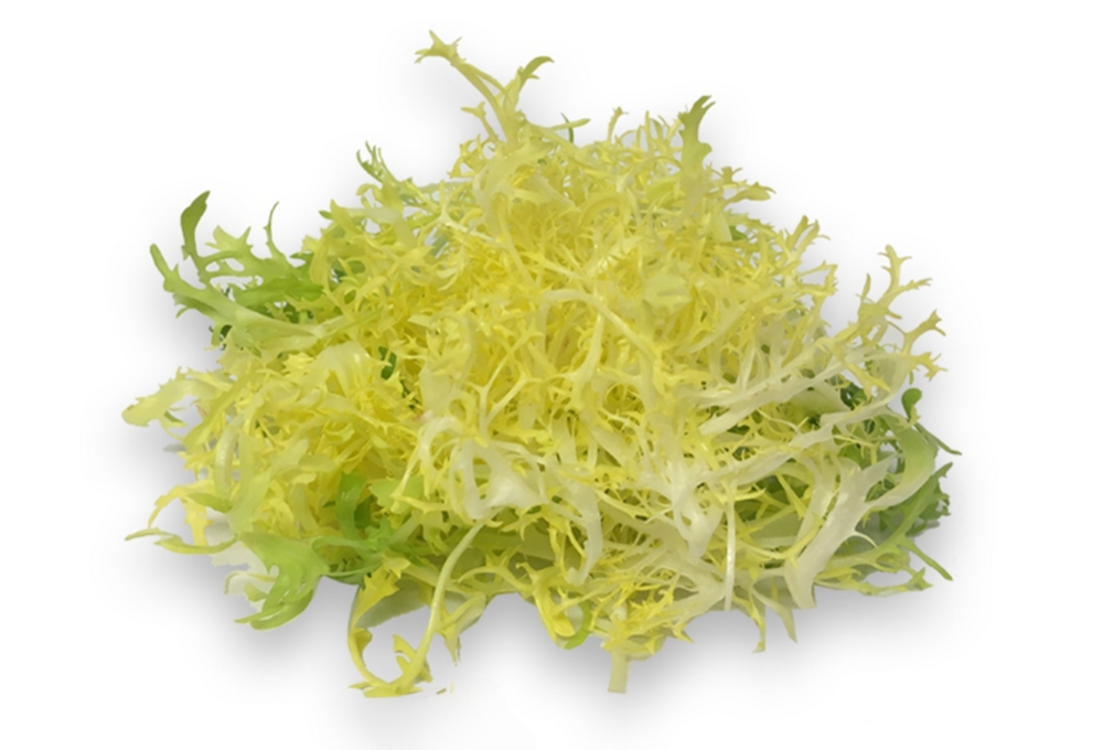 Frisée yellow