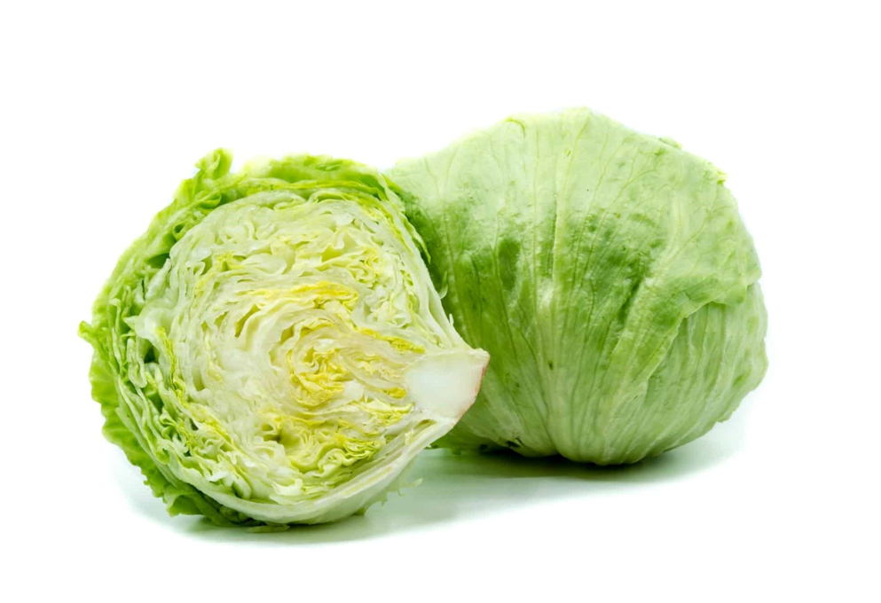 Lechuga iceberg