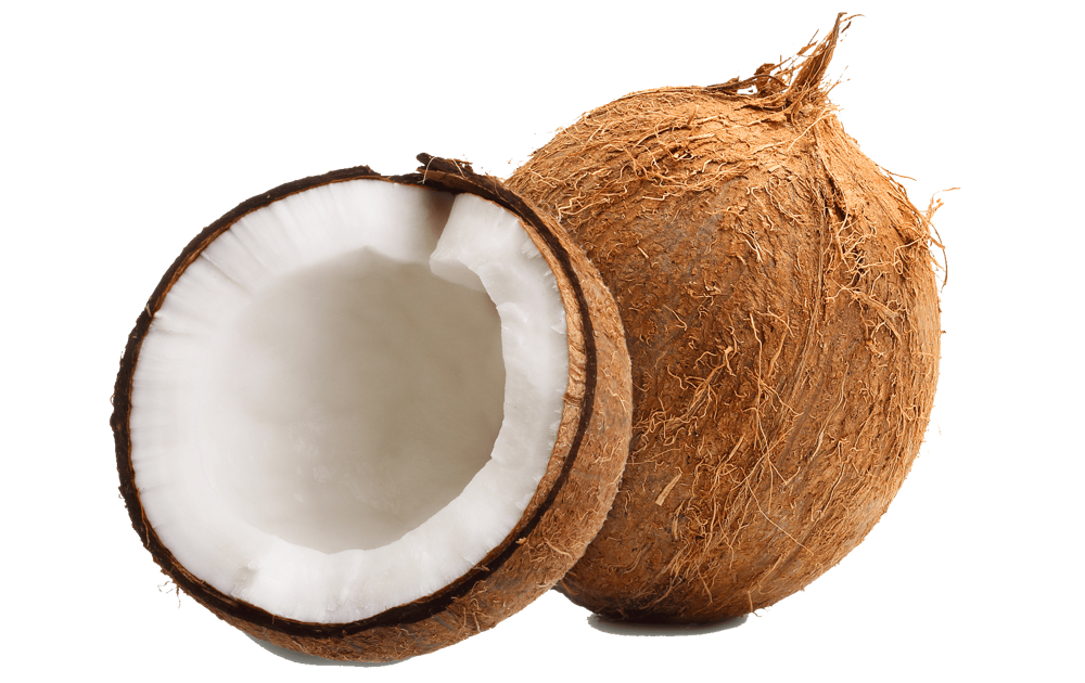 Coconut