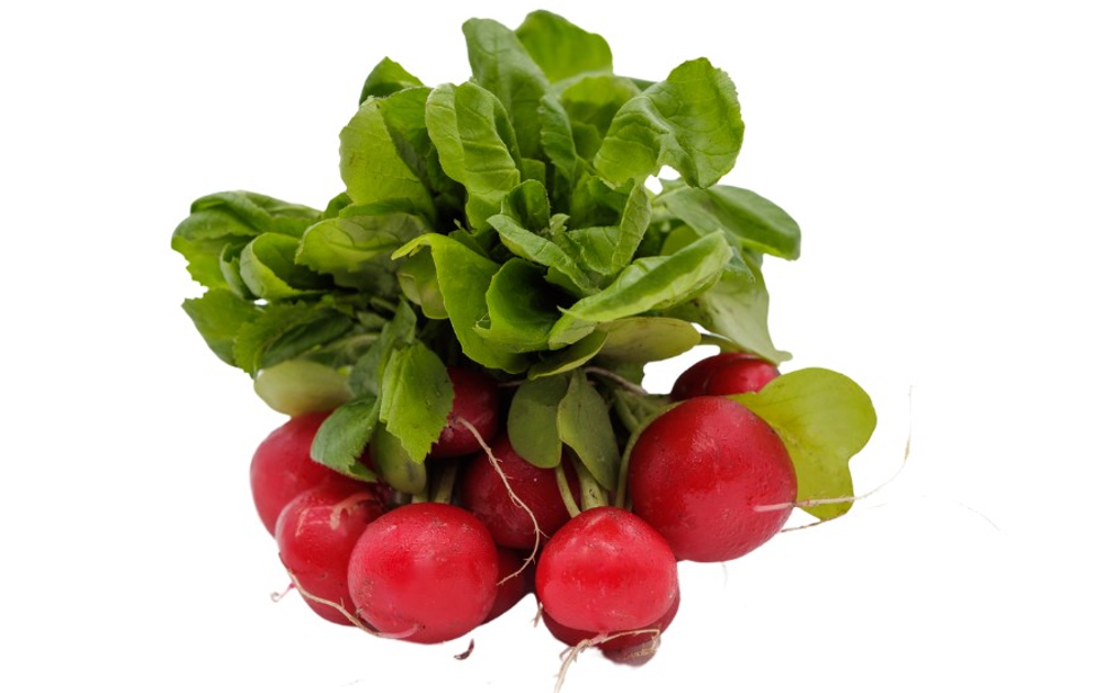 Radish