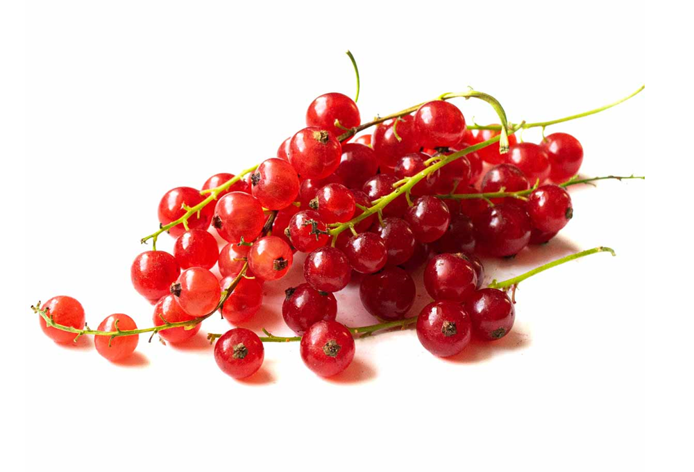 Red currants