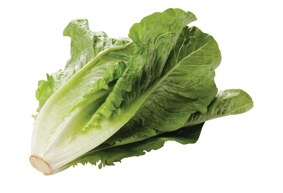 Romaine sla