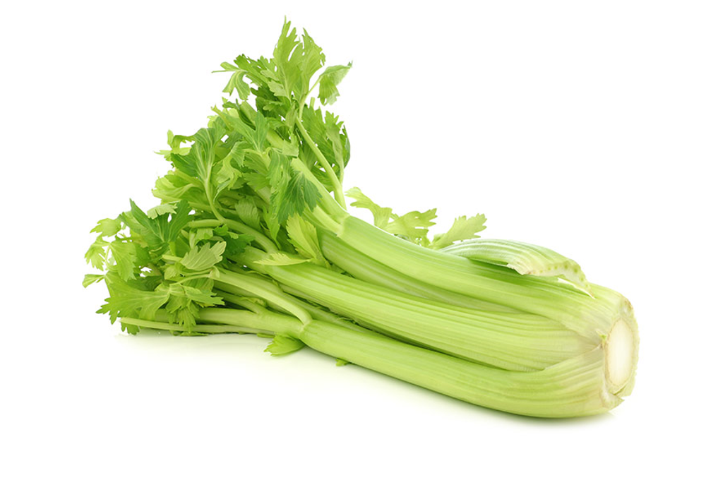 Celery